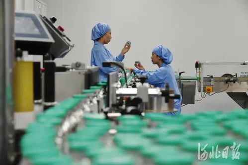 創(chuàng)新之路 技術開發(fā)的動力與未來